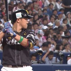 「野球オールスター戦無料写真」の画像検索結果
