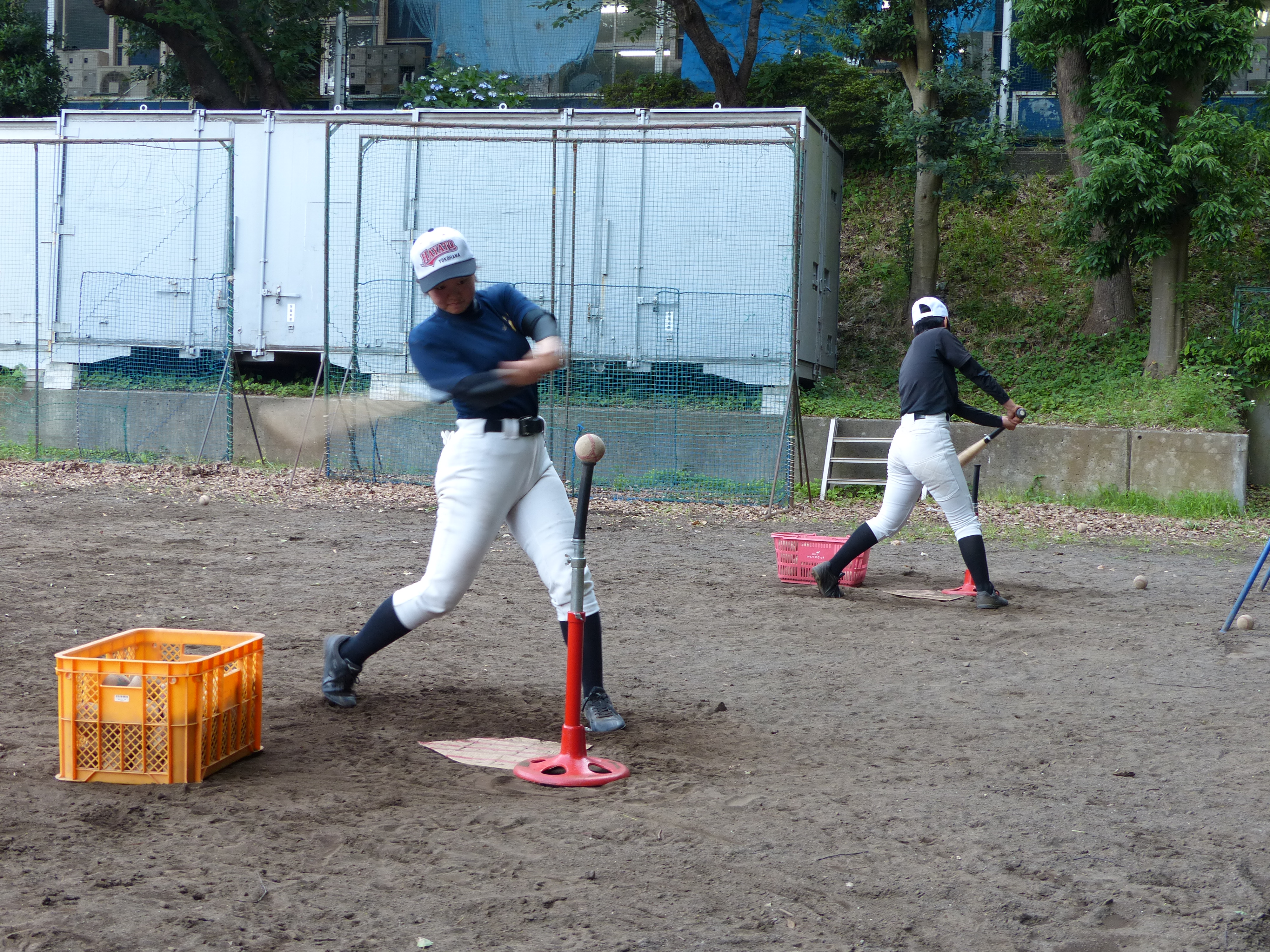 一緒に頑張れて良かった と思える仲間を作って欲しい 目指すは昨年上回る日本一 横浜隼人女子野球部訪問 野球女子 Vol 12 Baseball Gate スポーツブル スポブル