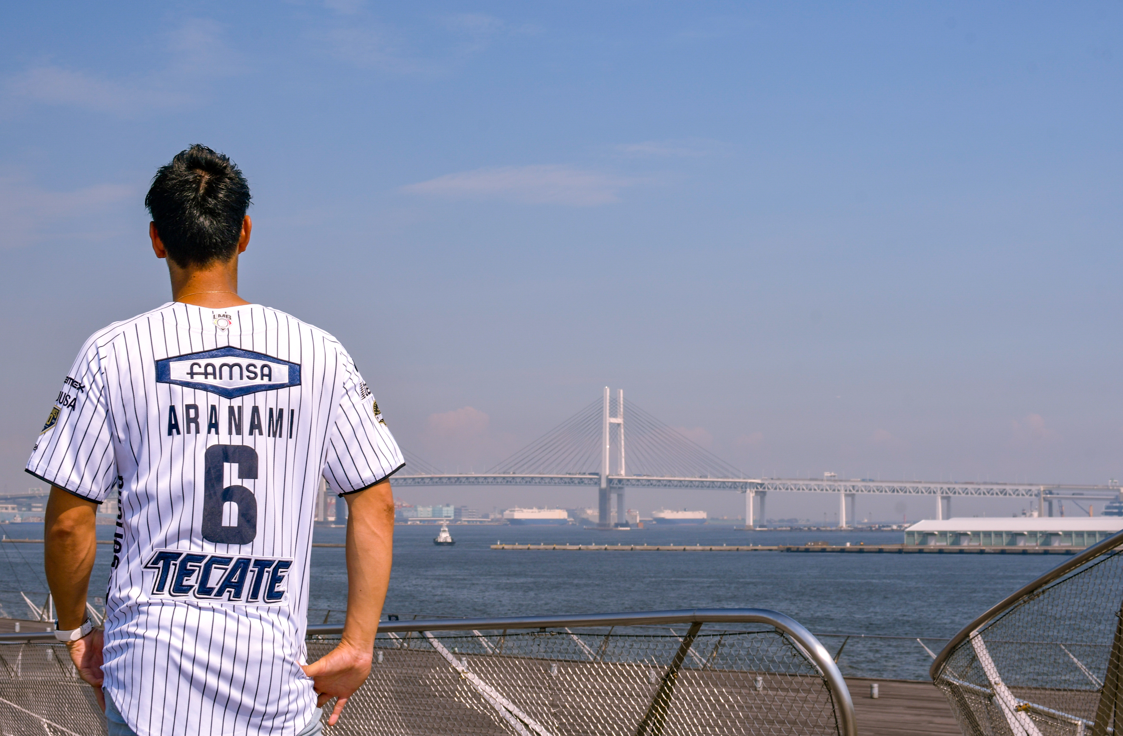元・横浜DeNAベイスターズの荒波翔さんが横浜を背景に後ろ向きで立っている所