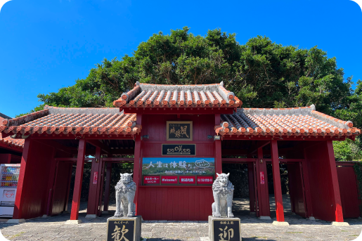 体験王国むら咲むら